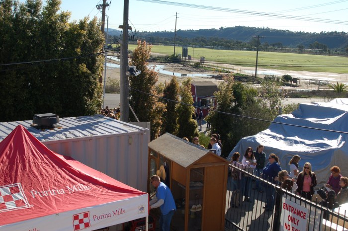 sale, lines, Del Mar, Mary's Tack and Feed