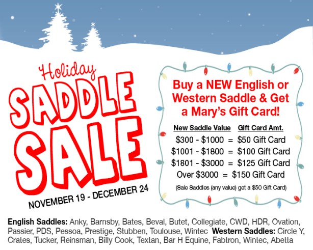 HolidaySaddleSale-12.3