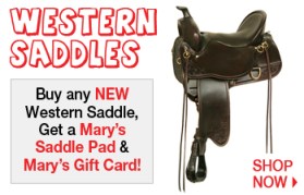 WesternSaddles-11-12