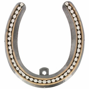 lucky horseshoe rhinestone