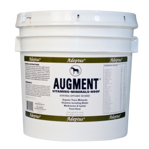 ALL Adeptus products are 20% off!