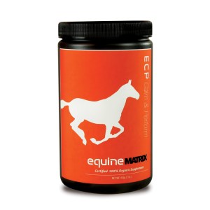 equine_ecp calm_front