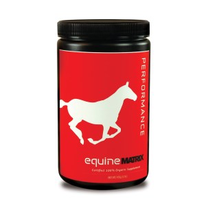 equine_performance_front