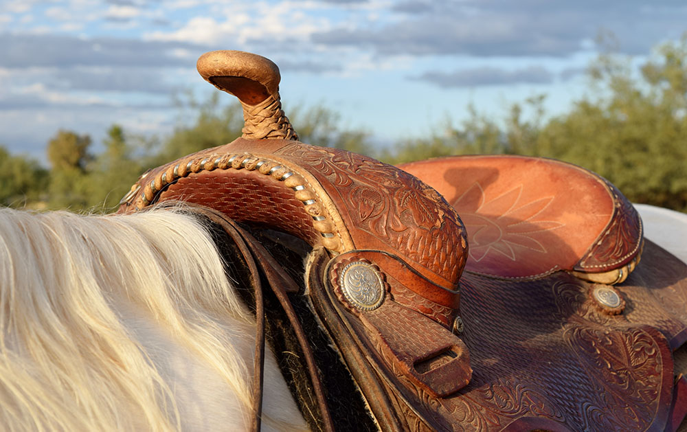 How to Care for Leather Tack | Mary's Tack & Feed How to Care for Leather Tack | Mary's Tack & Feed