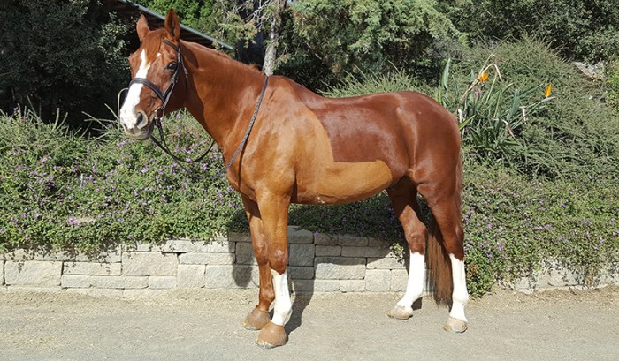 Photo by Amanda Greene