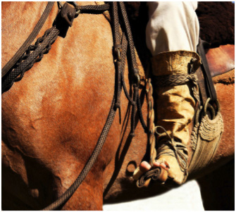 Photo credit: http://www.fioredeiliberi.org