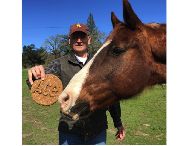 Ace, a newly rescued NSH of Stephanie and her husband, enjoying his custom made Mrs. Pasture’s horse cookie! 
