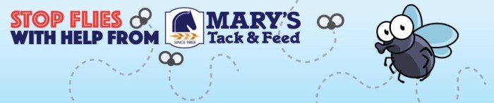 062117_Blogheader StopFlies Fixed