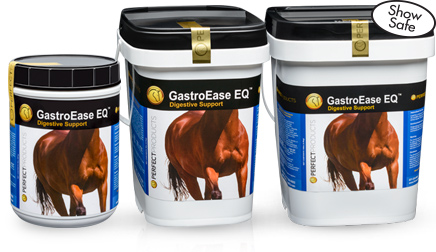 Category_GE