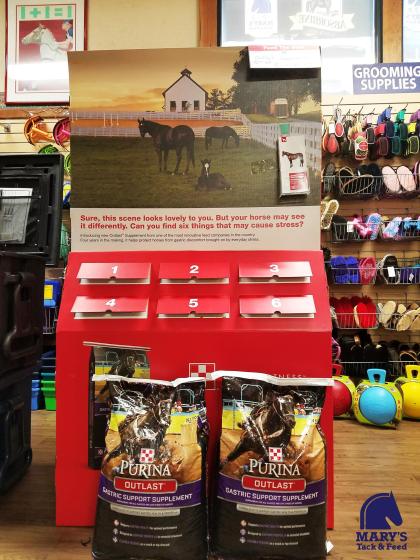 20116745_10155567459459314_7461485301503734896_o