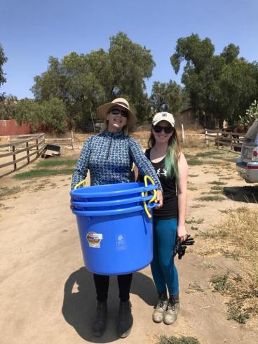 20229078_1445680178802071_4527819085781742542_n